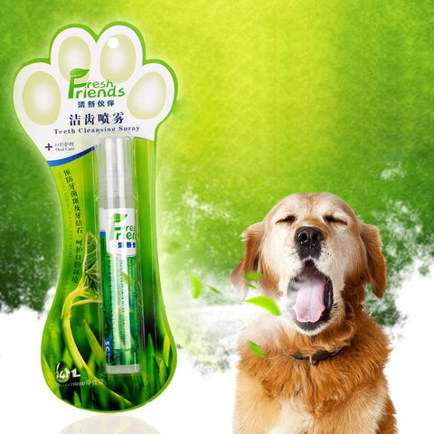 Pet Grooming