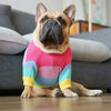 Rainbow Sweater for Dogs