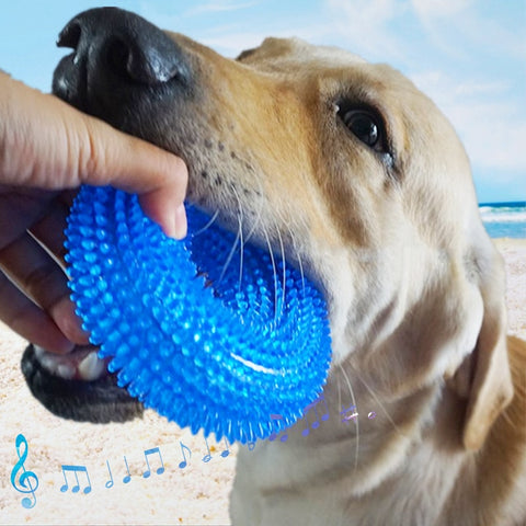 Pet Toys