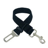 Vehicle Seat Belt