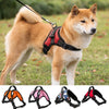 Adjustable Reflective Vest