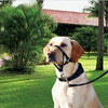 Pet Padded Head Collar