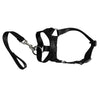 Pet Padded Head Collar