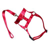 Pet Padded Head Collar